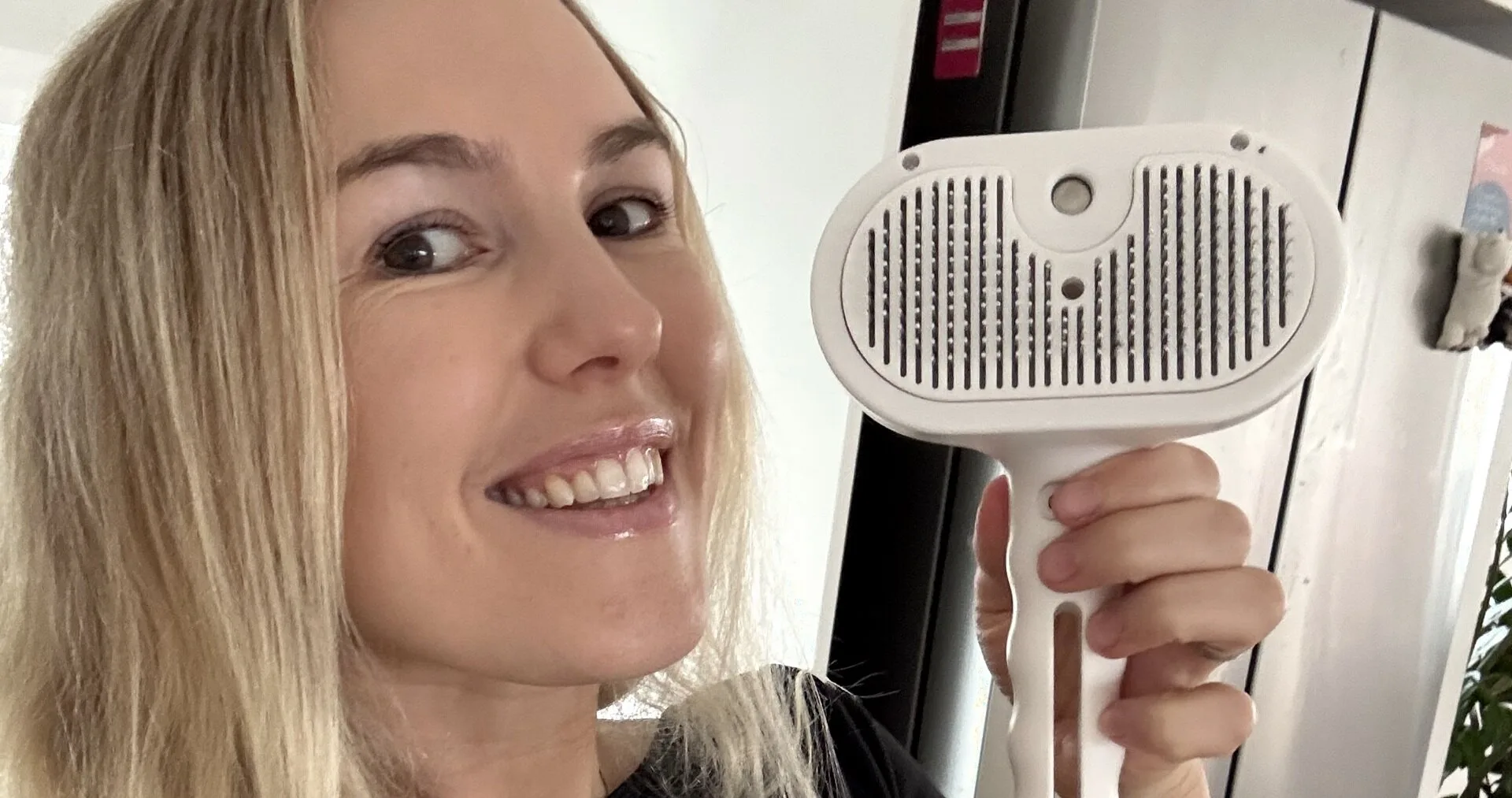 A Freedom creator holding a pet grooming brush up to camera at home